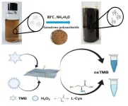 Graphene-based nanozyme helps to detect L-cysteine in serum