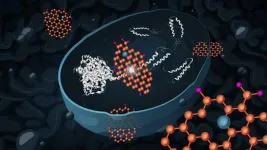 Graphene oxide reduces the toxicity of Alzheimer’s proteins