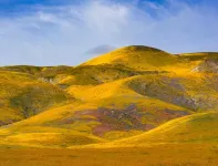 Grasslands live in the climate change fast lane