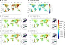 Green light for accurate vegetation research: new evaluation of global SIF datasets