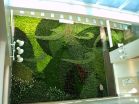 Green over Grey Unveils Gigantic Living Paintings at Edmonton International Airport