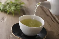 Green tea compound aids p53, 'guardian of the genome' and tumor suppressor