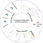 Greener and feasible production: Enzymatic methods for mono- and diacylglycerol synthesis in the food industry