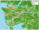 Greener neighborhoods lead to better birth outcomes, new research shows