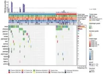 Groundbreaking research unveils genetic characteristics and improved prognosis of triple negative apocrine carcinoma 2