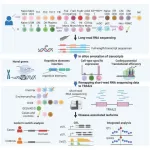 Groundbreaking study uncovers new insights into alternative splicing and disease associations