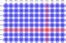 Group testing method developed for COVID-19