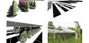 Growing solar: Optimizing agrivoltaic systems for crops and clean energy