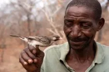 Grunt or whistle: successful honey-hunters know how to communicate with wild honey-seeking birds 3