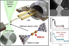 Hanging by a thread: Imaging and probing chains of single atoms