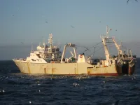 Harmful fisheries subsidies are leading to more fishing vessels chasing fewer fish, resulting in adverse environmental and societal impacts: UBC study