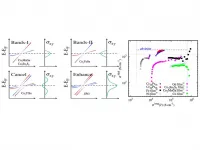 Harmonious electronic structure leads to enhanced quantum materials