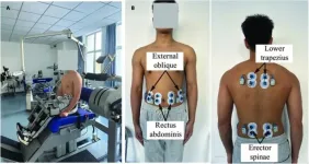 Harnessing musculoskeletal modeling: A leap forward in personalized muscle strength assessment