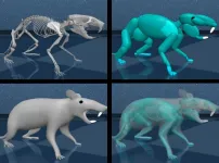 Harvard, Google DeepMind researchers create realistic virtual rodent