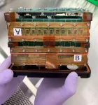 Heart tissue heads to space to aid research on aging and impact of long spaceflights