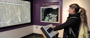 Heart-to-heart connection: Exploratorium and Gladstone bring a breakthrough science exhibit to life