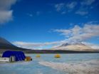 Hearty organisms discovered in bitter-cold Antarctic brine