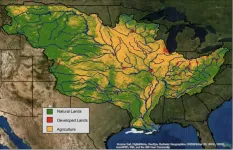 Heavy rains deliver largest amounts of fertilizer-derived nitrogen pollution to the Gulf of Mexico, new study finds