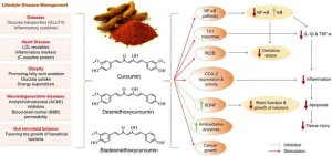 Herbal-based nutraceuticals in management of lifestyle diseases: Experience from Indian population