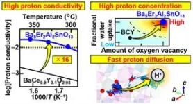 Hexagonal perovskite oxides: Electrolytes for next-generation protonic ceramic fuel cells 2