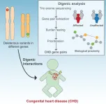 Hidden genetic causes of congenital heart disease identified