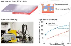 High-fidelity model for designing efficient thermal management surfaces