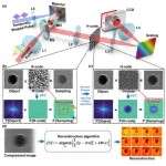 High-frequency enhanced ultrafast compressed photography technology (H-CAP) allows microscopic ultrafast movie to appear at a glance