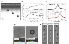 High-performance inkjet print head enhances bioprinting productivity 3