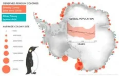 High resolution imagery advances the ability to monitor decadal changes in emperor penguin populations 3