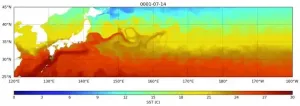 High-resolution ocean model provides insight into sea turtles' lost years