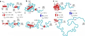 High-speed atomic force microscopy takes on intrinsically disordered proteins