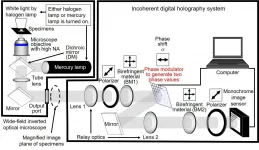 High-speed holographic fluorescence microscopy system with submicron resolution