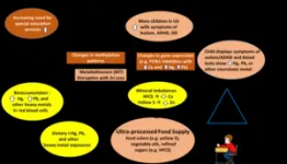 Higher rates of autism and attention deficit/hyperactivity disorder in American children 2