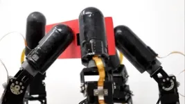 Highly dexterous robot hand can operate in the dark -- just like us 3