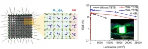 Highly efficient perovskite light-emitting diodes for next-generation display technology