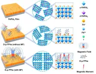 Highly oriented perovskite films induced by chiral molecules under magnetic-field control