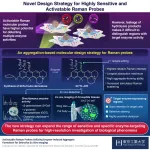 Highly sensitive Raman probe detects enzyme expression in heterogeneous tissues