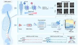 HiTIP-seq profiles epigenomic reprogramming of patient-derived diffuse midline glioma stem cells to epigenetic therapy