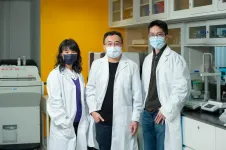 HKBU develops dual-targeting drug for EBV-related cancers