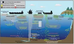 HKU Marine Scientist contributes to research assessing the potential risks of ocean-based climate intervention technologies on deep-sea ecosystems 3