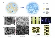 HKU Mechanical Engineering team develops electroconductive hydrogel for biomedical applications 3