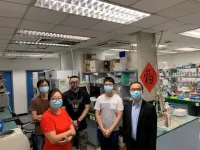 HKU researchers identify promising new biologics for obesity-related diseases