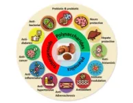 HKUMed identifies novel host protease determinants for SARS-CoV-2 infection 2