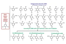 HKUST engineering researchers discover an effective and environment-friendly disinfectant