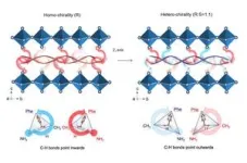 HKUST engineering researchers enhance perovskite solar cells durability with first-of-its-kind chiral-structured “springy” interface 2