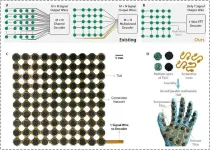 HKUST researchers develop a versatile, reconfigurable, and damage-tolerant single-wire sensor array