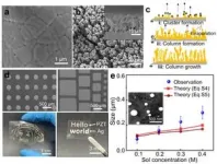 HKUST researchers develop low-cost and multifunctional microprinter for ultrafast piezoelectric material printing 2