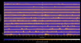 Holy immunity! Bat genes key against COVID, cancer 2