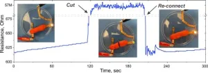 Homemade ‘play-putty’ can read the body’s electric signals, find UMass researchers