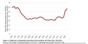 Homicide rates are a major factor in the gap between Black and White life expectancy